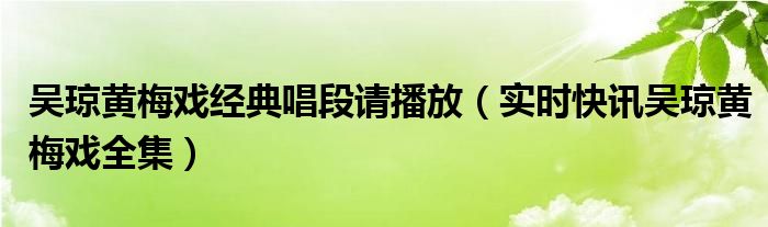 吴琼黄梅戏大全视频 吴琼黄梅戏经典唱段100首