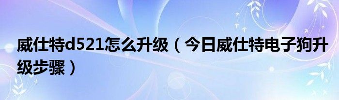 威仕特电子狗d520如何升级 威仕特电子狗升级t5怎么进入官网