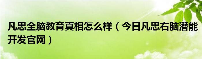 凡思右脑开发 年会 凡思右脑开发是怎么回事