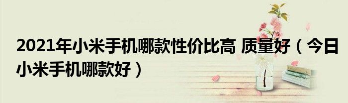 2021年小米手环是几代的 2021年小米手机哪款性价比高