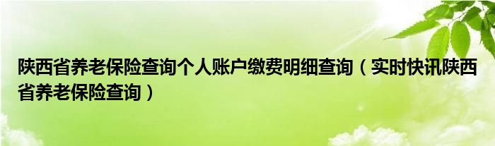 陕西省养老保险查询个人账户 陕西养老保险缴费查询个人账户