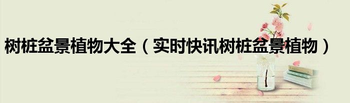 树木盆景热门视频 盆景学五大流派树桩盆景造型特点