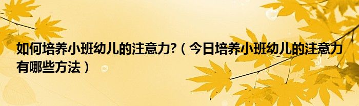 如何培养小孩自信心 如何培养小班幼儿专注力教研