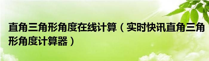 直角三角形三边关系 直角三角形角度边长计算软件