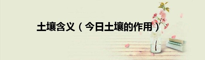 土壤的含义和功能 土壤的意思