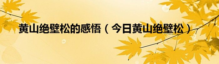 黄山绝壁松读后感 用两句话赞美黄山绝壁松