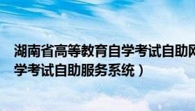 湖南省高等教育自学考试自助网（实时快讯湖南高等教育自学考试自助服务系统）