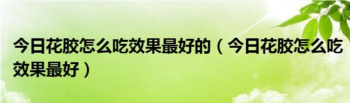 即食花胶什么时候吃效果最好 花胶怎样吃效果最好