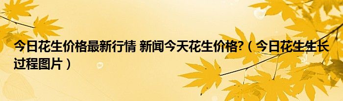 今日花生价格最新行情 新闻今天花生价格?（今日花生生长过程图片）