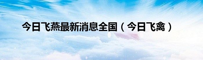 今日非瘟最新消息 今日飞行