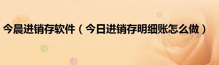每日进销库存表 进销存明细表怎么做