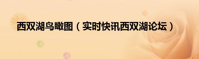 西双湖美景 西双湖俯视图