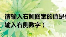 请输入右侧图案的值是什么意思（实时快讯请输入右侧数字）
