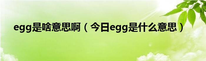 egg是啥意思啊 egg是什么意思怎么读音