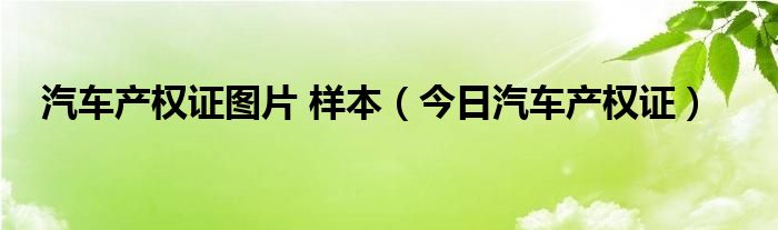汽车产权证可以写两个人吗 汽车产权证图片哪里可以查看到