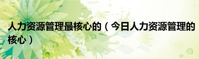 人力资源管理系统 人力资源管理和企业人力资源管理