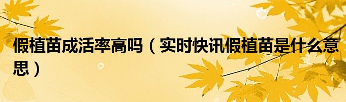假植苗容易成活吗 假植栽培