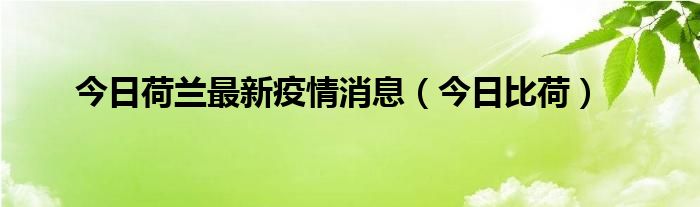 荷兰代尔夫特理工大学 荷兰代尔夫特疫情最新通知