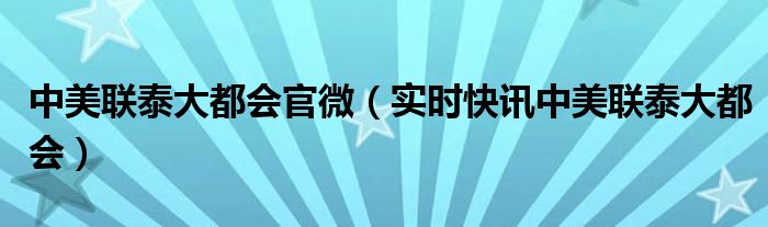 中美联泰大都会成立时间 中美联泰大都会公司简介