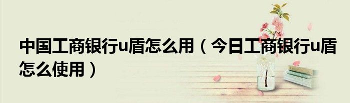 中国工商银行u盾怎么使用教程 中国工商银行u盾怎么使用