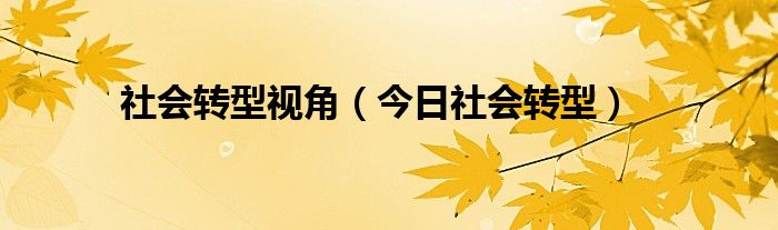 社会转型特征 社会转型阵痛期