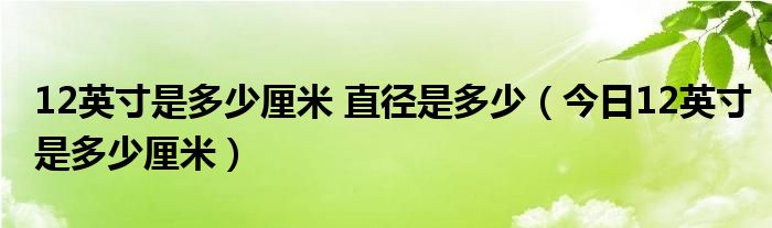 12英寸是多长啊 请问12英寸是多少厘米