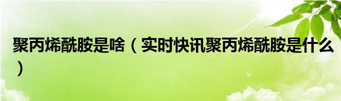 聚丙烯酰胺是什么意思 聚丙烯酰胺学名