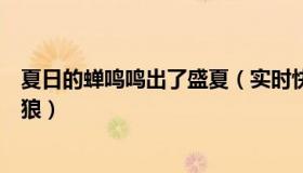 夏日的蝉鸣鸣出了盛夏（实时快讯一夏欢悦长着翅膀的大灰狼）