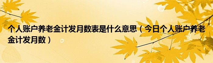 个人账户养老金计发月数什么意思 病退计发月数和正常退休计发月数