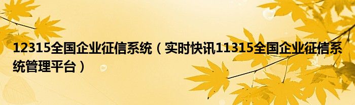 12363企业征信查询 12315全国征信查询