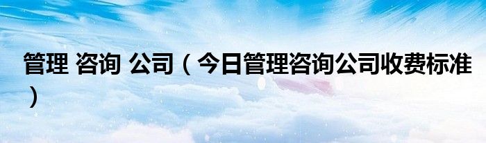 管理咨询公司怎么样 管理咨询公司干什么的