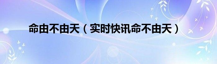 命不由天下一句 命不由天而由我
