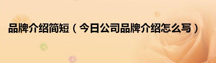 品牌简介怎么写模板 品牌简介怎么写显得牛逼