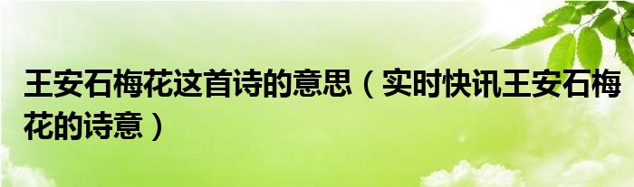 梅花王安石古诗原文翻译 梅花王安石古诗意思全解