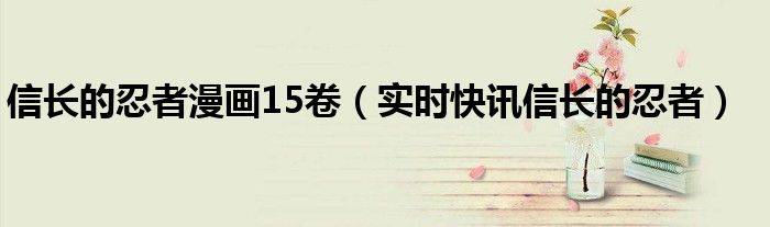 信长的忍者31 信长的忍者第一季在线