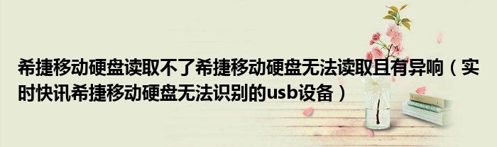 希捷移动硬盘哪个系列好 希捷移动硬盘读取不了