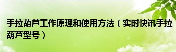 手拉葫芦原理演示视频 手拉葫芦工作原理图