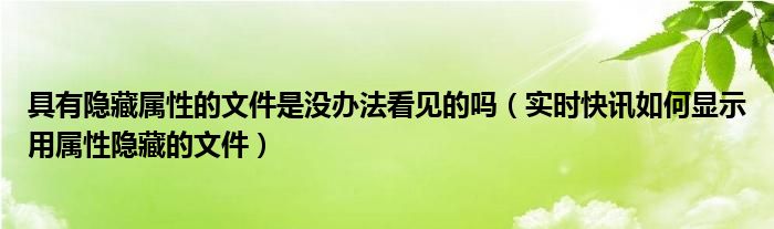 显示具有隐藏属性的文件和文件夹 隐藏文件属性后文件找不到了