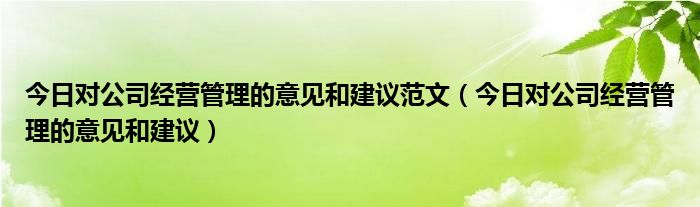 对公司未来的展望怎么写 对公司未来发展的意见和建议简短