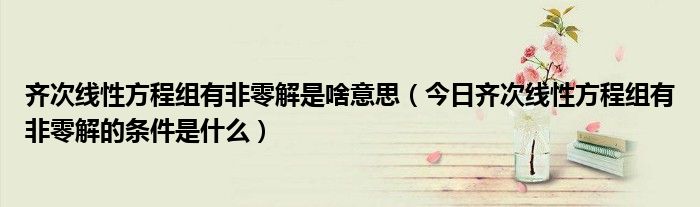 齐次线性方程组的秩 齐次线性方程组有非零解是啥意思