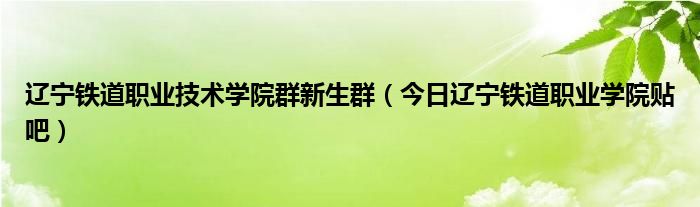 辽宁铁道职业技术学院占地面积 辽宁铁道职业技术学院校园