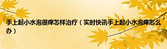 手上起小水泡很痒怎么办中医辨证 手上突然很痒越挠越痒发红微肿