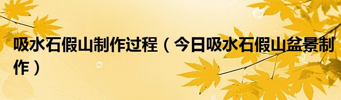 怎样做吸水石假山盆景 吸水石假山盆景栽什么植物好