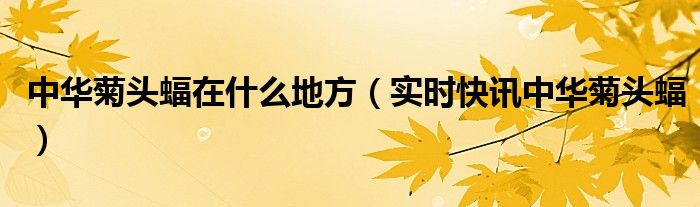 中华菊头蝠在哪里发现 中华菊头蝠在什么地方