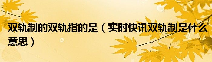 什么叫双轨制 啥叫双轨制