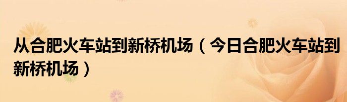 合肥火车站到新桥机场需要多长时间 合肥火车站到新桥机场怎么走便宜