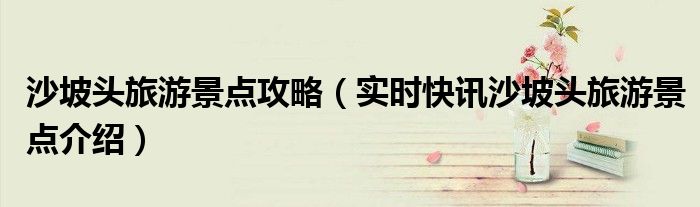 沙坡头旅游景点地图 沙坡头旅游景点攻略