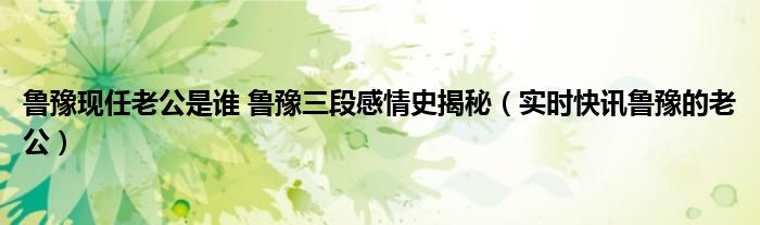 鲁豫和她老公现状 鲁豫个人资料丈夫