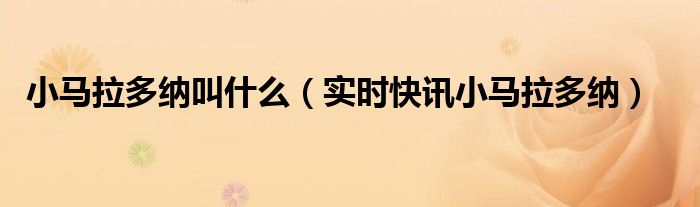 马拉多拉孩子 小时候的马拉多纳