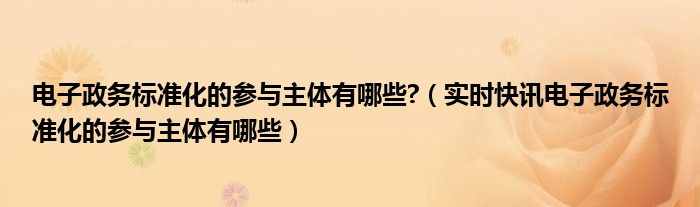 电子政务标准的基本要求有 电子政务标准化网站